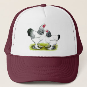 Casquette Brahma :  Lumière
