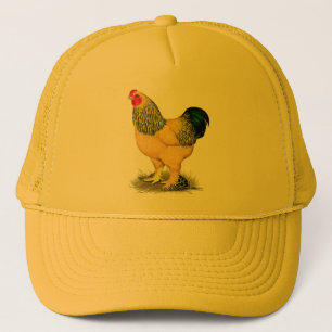 Casquette Brahma : Rooster Buff