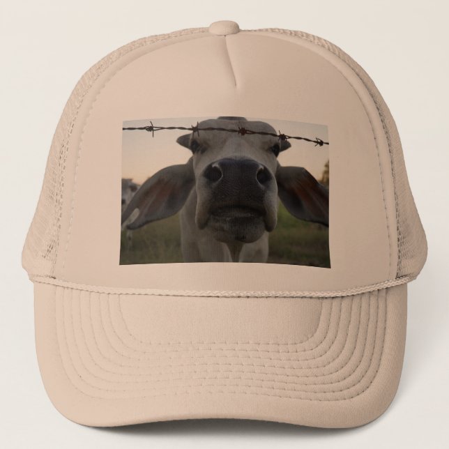CASQUETTE BRAHMAN BULL EN AUSTRALIE RURALE (Devant)