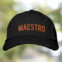 Maestro Le Maître L'Enseignant