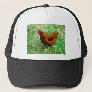 Casquette Brown Hen