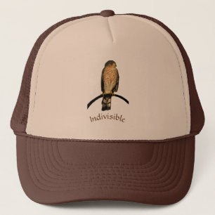 Casquette Brown indivisible de faucon