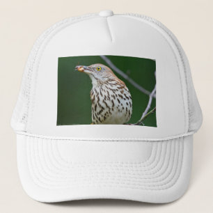 Casquette Brown Thrasher avec / Catch Of The Day Cadeaux Vêt
