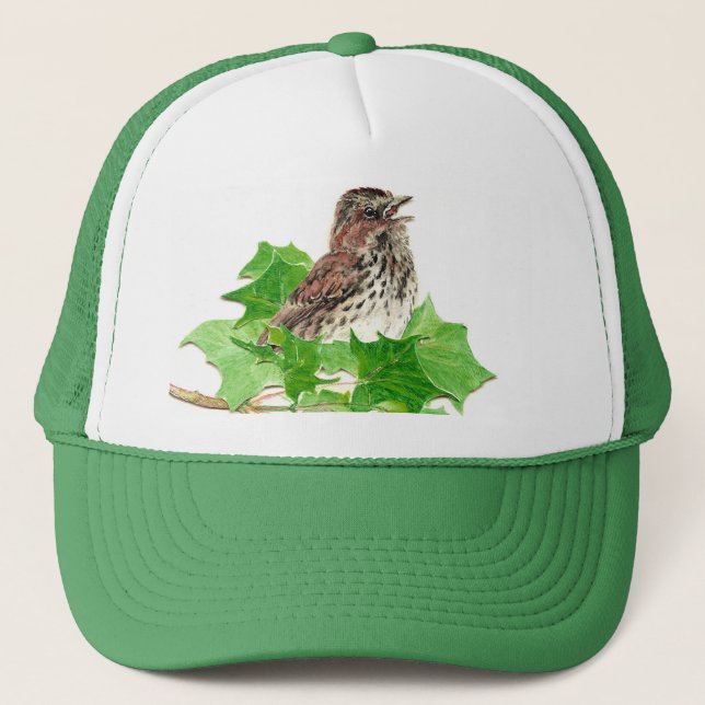 Casquette Bruant, Oiseau mignon, Oiseau, Oiseau, Nature (Devant)
