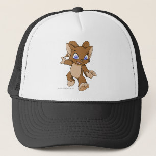 Casquette Brun d'Acara