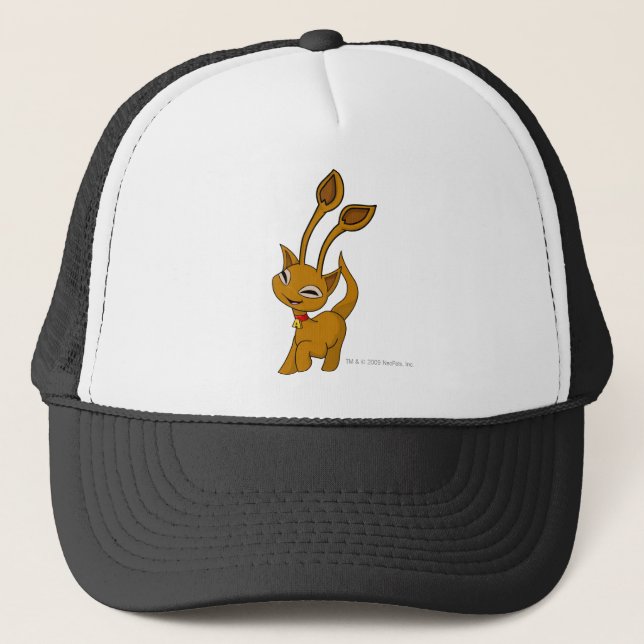 Casquette Brun d'Aisha (Devant)