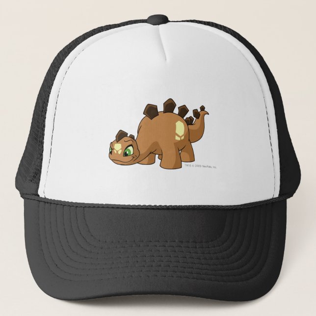 Casquette Brun de Chomby (Devant)