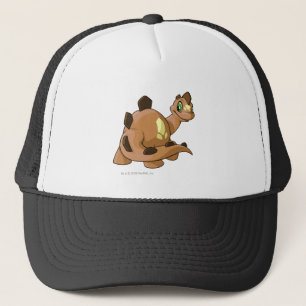 Casquette Brun de Chomby