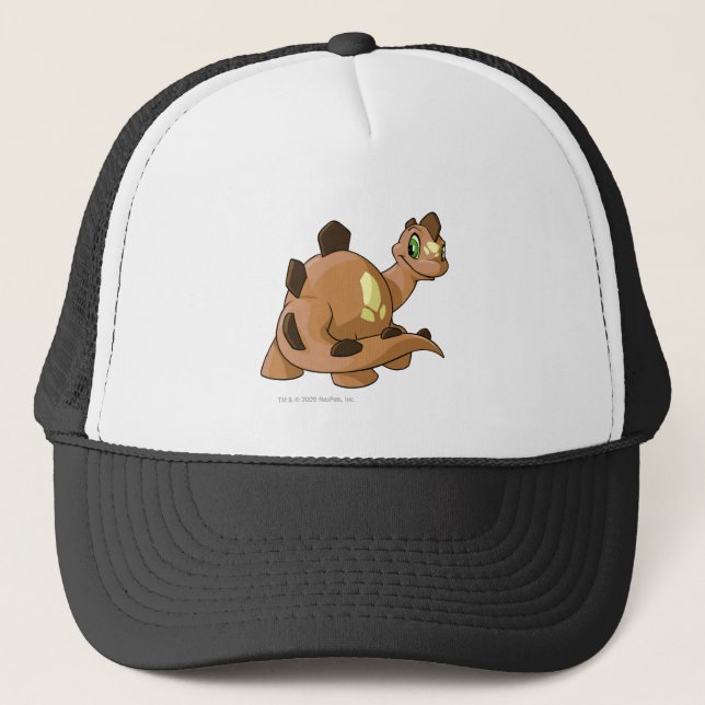 Casquette Brun de Chomby (Devant)
