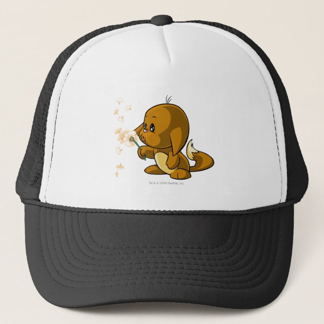 Casquette Brun de Kacheek (Devant)
