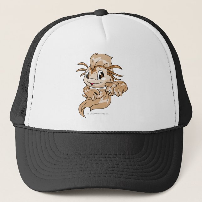 Casquette Brun de Koi (Devant)