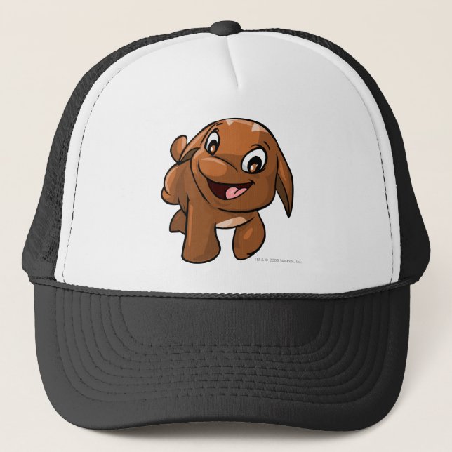 Casquette Brun de Poogle (Devant)