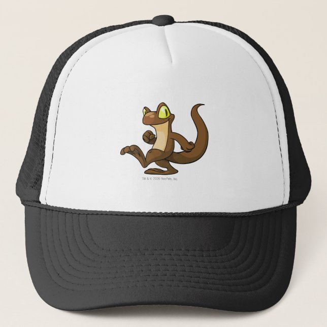 Casquette Brun de Techo (Devant)