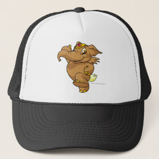 Casquette Brun d'Elephante