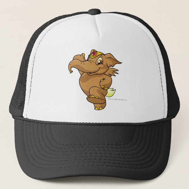 Casquette Brun d'Elephante (Devant)