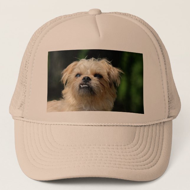 Casquette bruxelles-griffon.png (Devant)