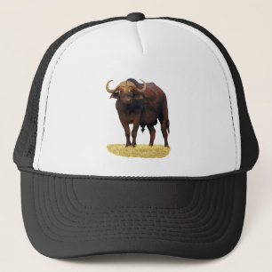 Casquette Buffalo d'eau africain