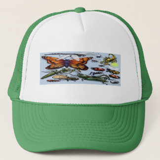 Casquette Bugs