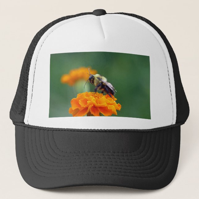 Casquette Busy Bee (Devant)