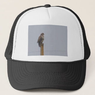 Casquette Buzzard