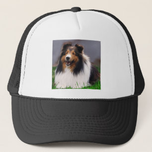 Casquette Cadeaux d'art de Sheltie de chien de berger de