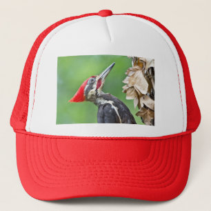 Casquette Cadeaux de vêtements de profil de Pic épeiche juvé