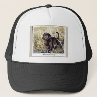 Casquette Cadeaux du Labrador Retriever