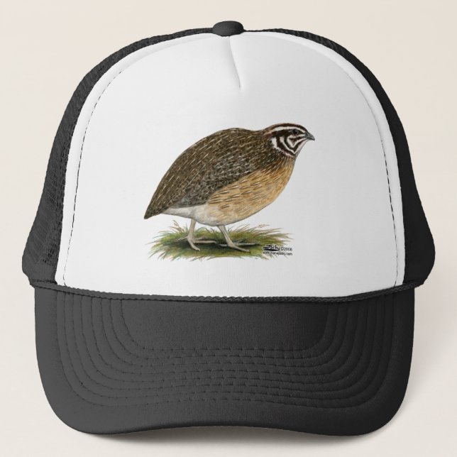 Casquette Cailles de pharaon de Coturnix (Devant)