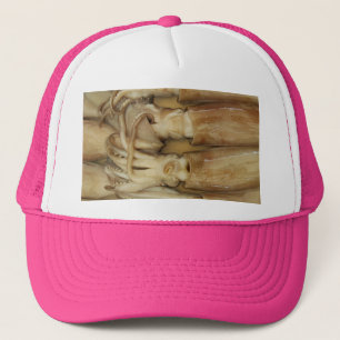 Casquette Calamari