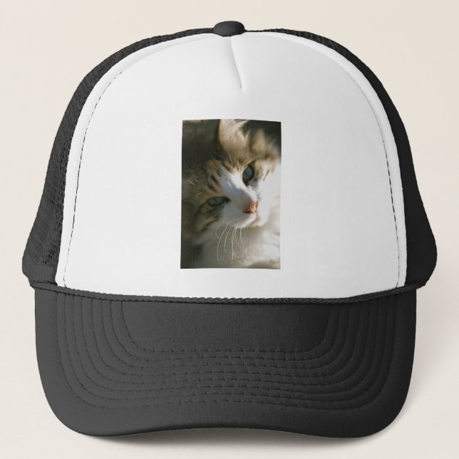 Casquette Calico Tiger (Devant)