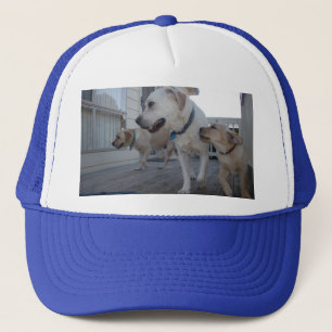 Casquette Câlins de chiot : Amour de famille Labrador couleu