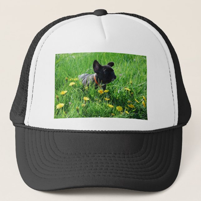 Casquette Calotte de Bulldogen (Devant)