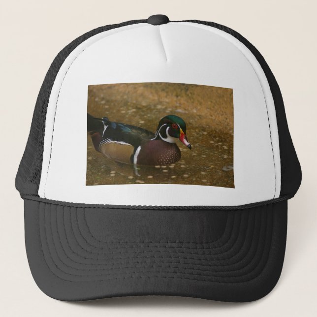Casquette Canard à bois mâle (Devant)