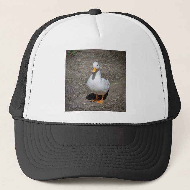 Casquette Canard de compagnie (Devant)