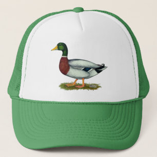Casquette Canard Drake de Mallard