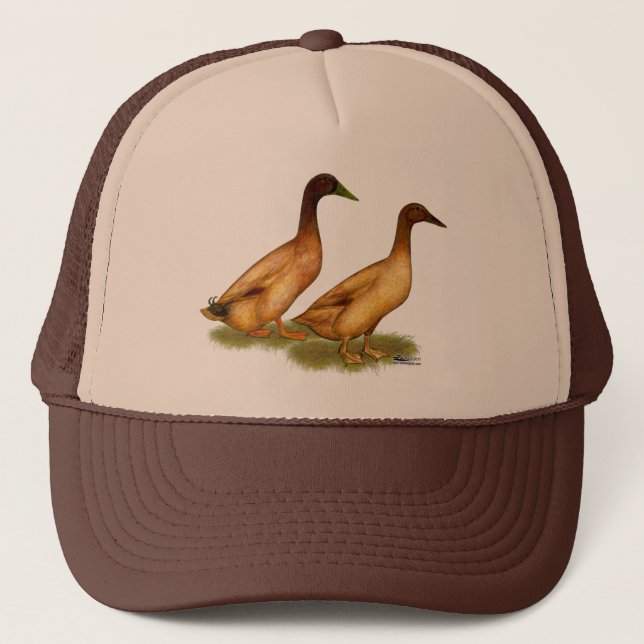 Casquette Canards : Khaki Campbell (Devant)