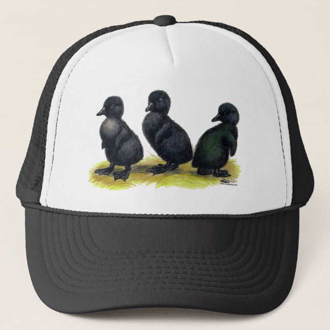Casquette Canetons Black Cayuga (Devant)