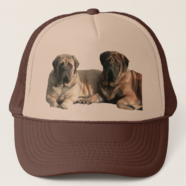 Casquette Capuchon de Mastiff (Devant)