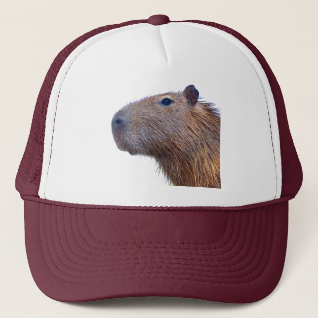 Casquette Capybara (Devant)