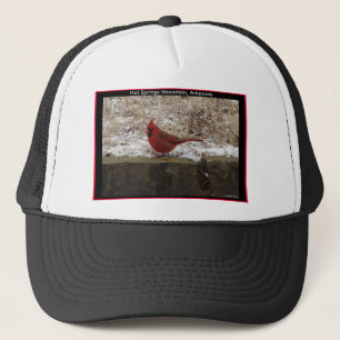 Casquette Cardinal Hot Springs Nat. Park Mountain AR Cadeaux