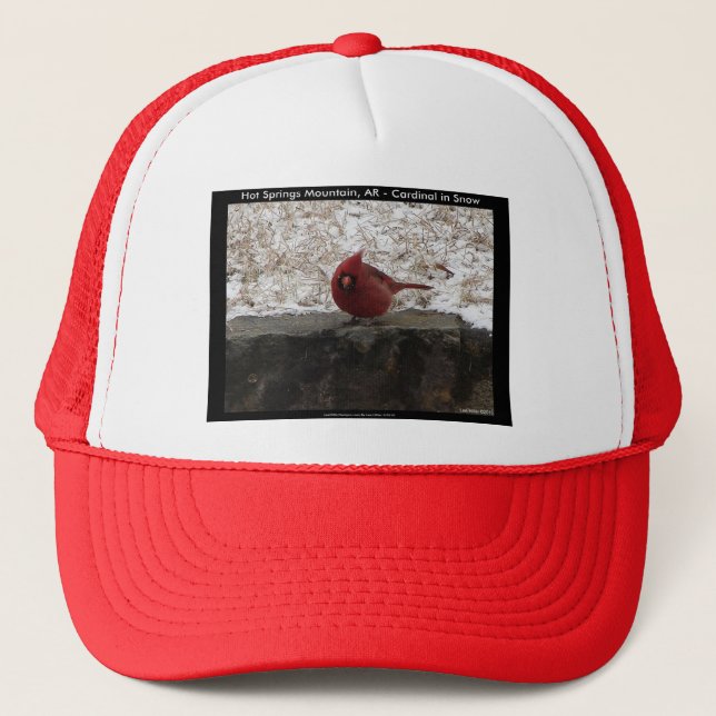 Casquette Cardinal Hot Springs Nat. Park Mt AR Cadeaux Vêtem (Devant)