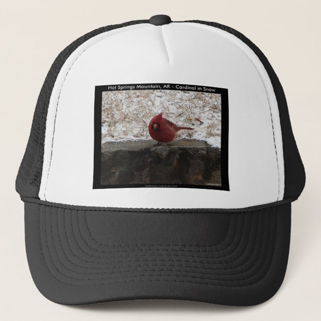 Casquette Cardinal Hot Springs Nat. Park Mt AR Cadeaux Vêtem (Devant)