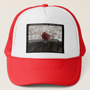 Casquette Cardinal Hot Springs Parc Nat Mt AR Cadeaux Vêteme