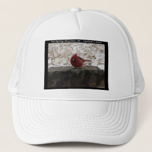 Casquette Cardinal Hot Springs Parc Nat Mt AR Cadeaux Vêteme