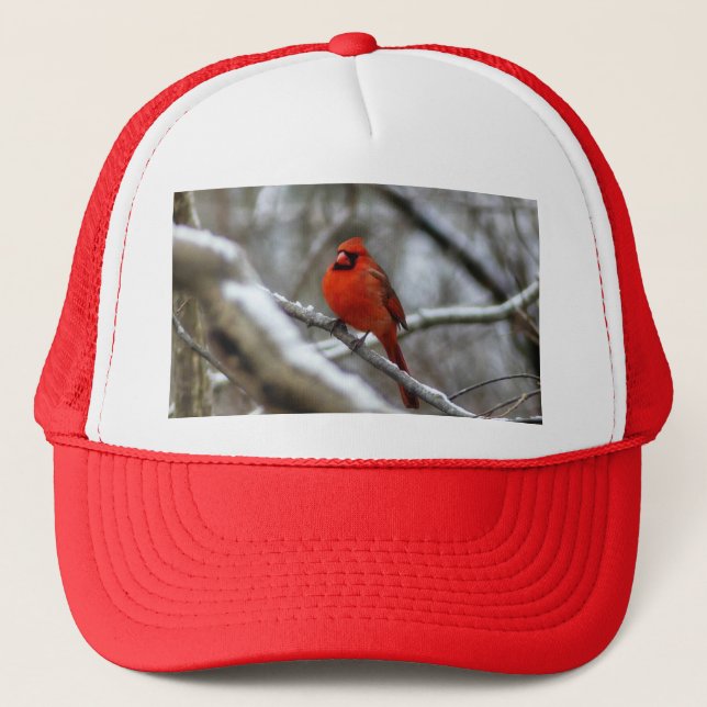 Casquette Cardinal masculin (Devant)