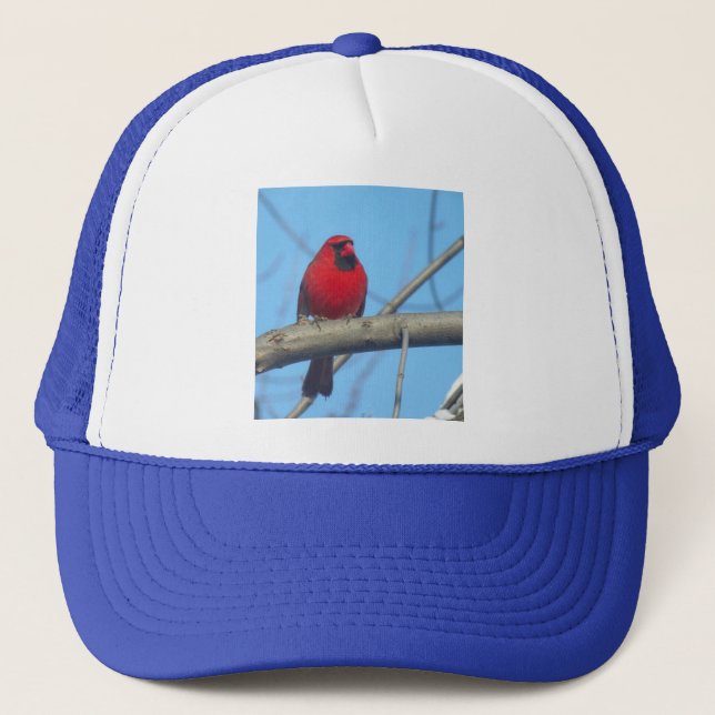 Casquette Cardinal Rouge/Oiseau (Devant)