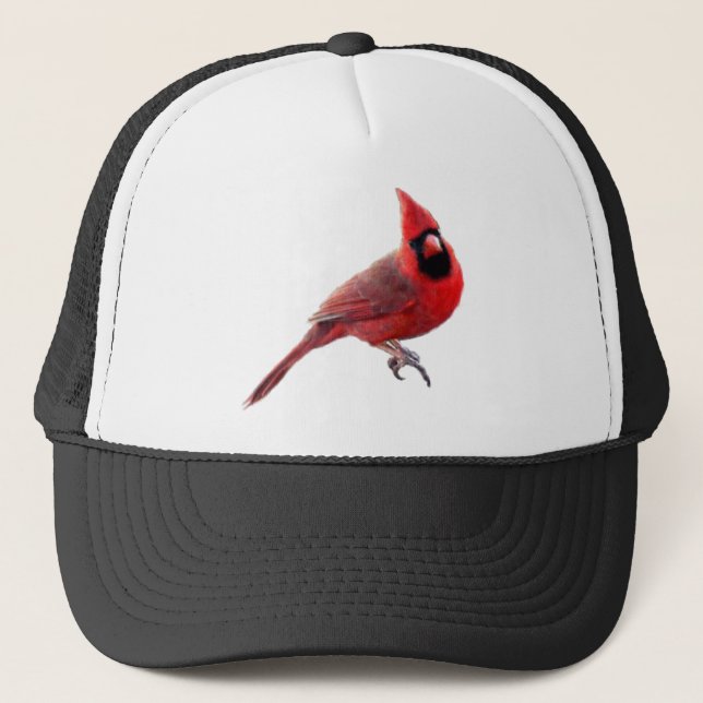Casquette Cardinaux (Devant)