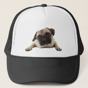 Casquette Carlin chien animal animal animal de compagnie sur