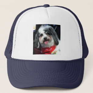 Casquette casquette, femmes, hommes, chien, photo K-ECO