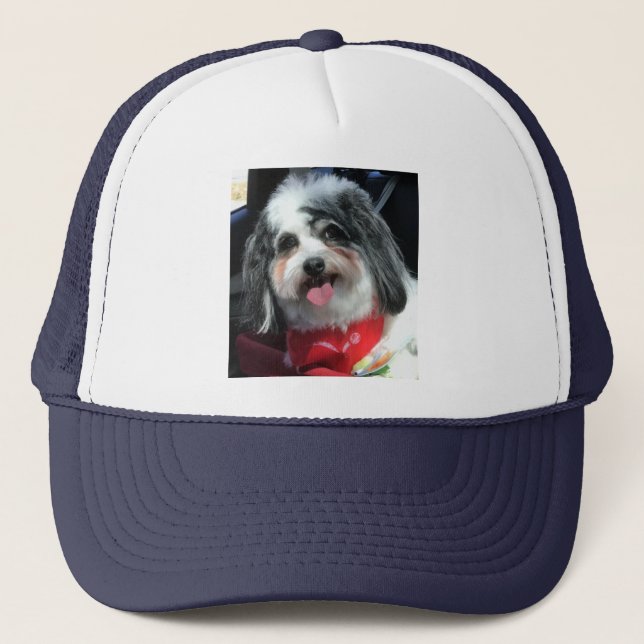 Casquette casquette, femmes, hommes, chien, photo K-ECO (Devant)